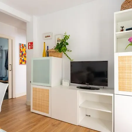 Apartamento Con Jardin En El Centro Apartment *