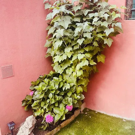 Апартаменты Apartamento Con Jardin En El Centro *